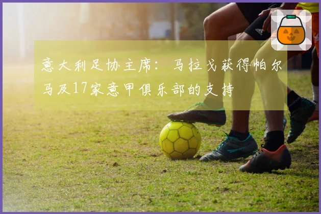 意大利足协主席：马拉戈获得帕尔马及17家意甲俱乐部的支持