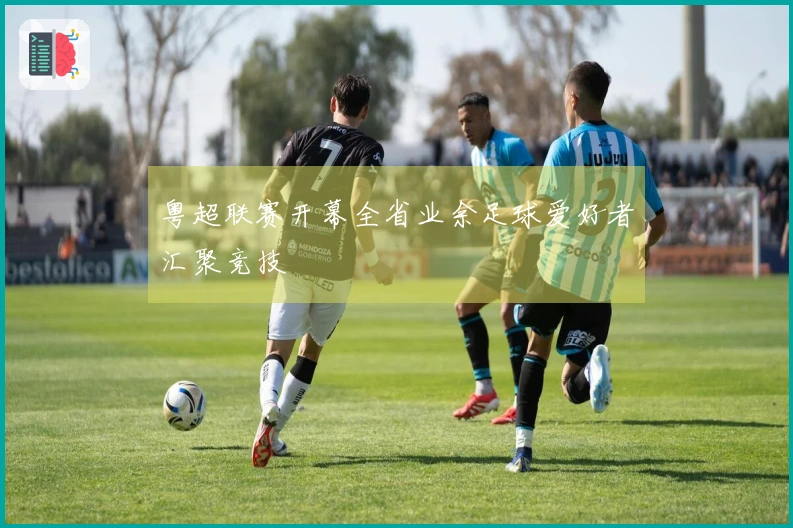 粤超联赛开幕全省业余足球爱好者汇聚竞技